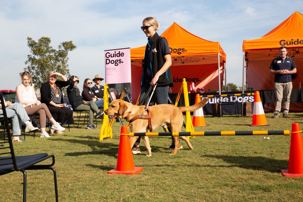 guide dog and trainer demonstrating an obstacle course