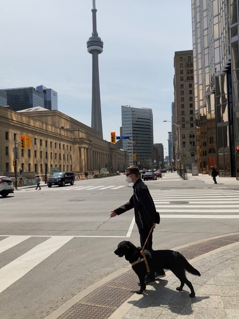 guide dog owner crossing at a zebra crossing