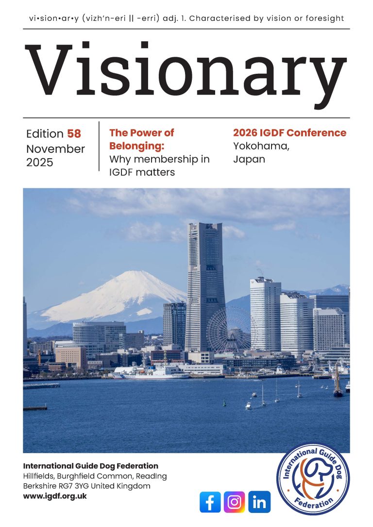 Cover page for Visionary Magazine featuring image of Yokohama, Japan