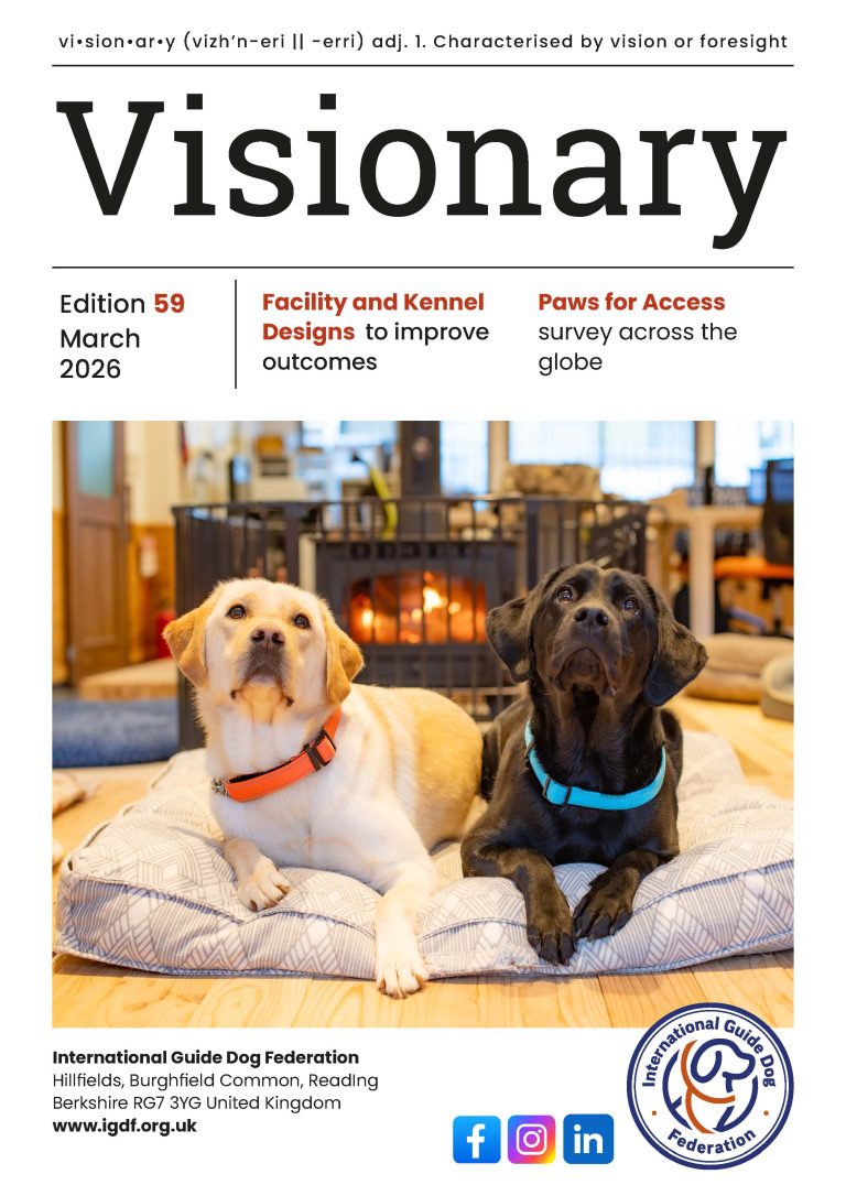 cover page of Visionary magazine March 2026 featuring 2 labs on a pillow